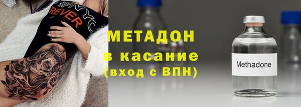 стаф Алзамай
