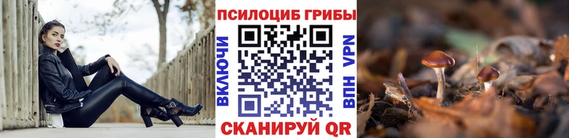 Псилоцибиновые грибы мухоморы Орёл